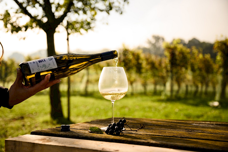 Wijndomein de Vrakelberg