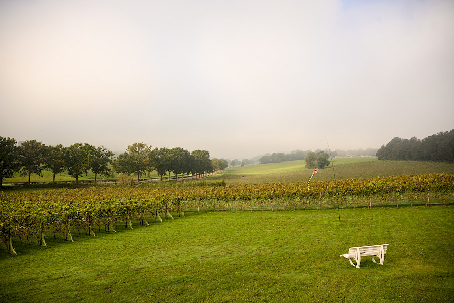 Wijndomein de Vrakelberg