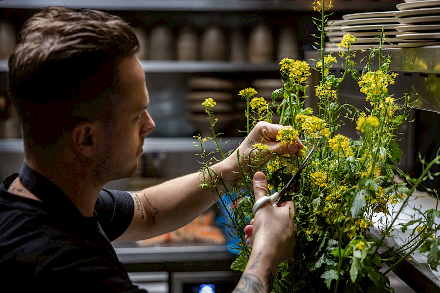 Haricot: Fine dining zonder poespas