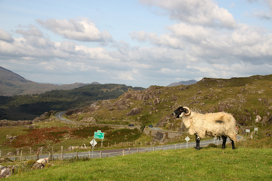 Langs de ruige rand van Europa: de Wild Atlantic Way