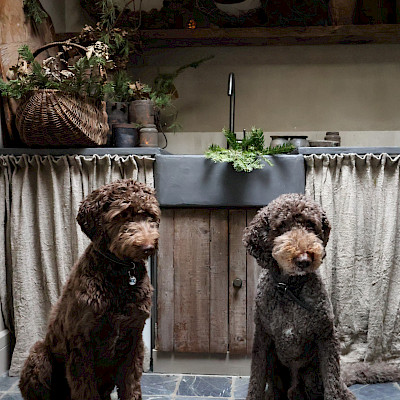 Binnenkijken bij: Tanya Worrell