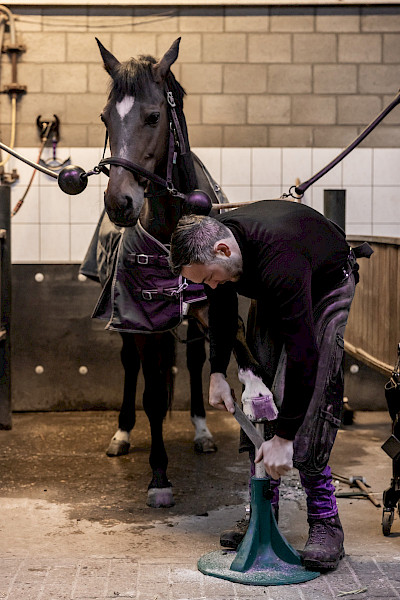 Alles voor het paard