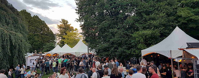 Bierfestival Pint