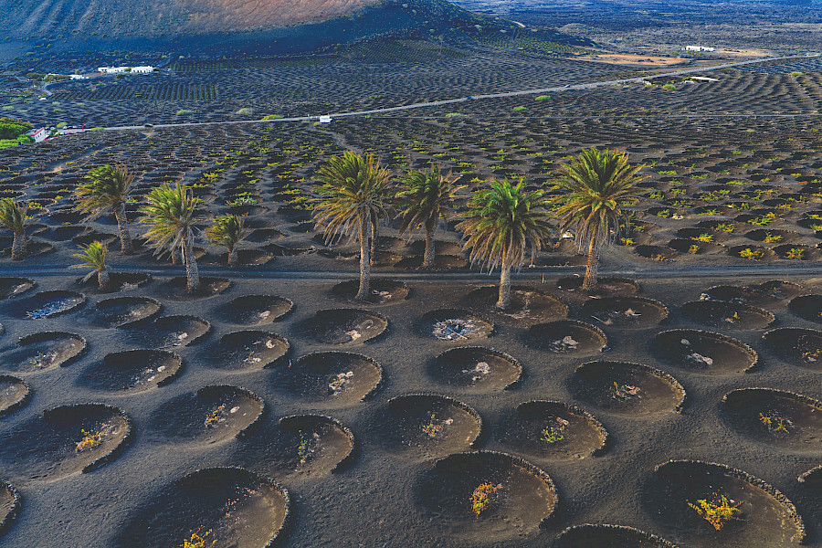 Lovely Lanzarote!