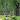 Beesels Broek: met oog voor detail