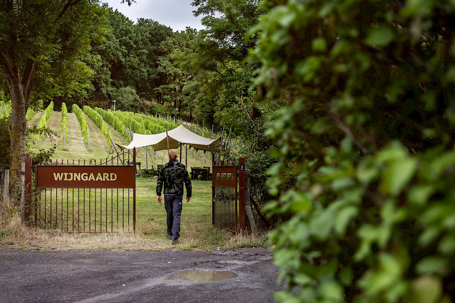 Verloren voetstappen Dwaalt door het landschap van Bemelen