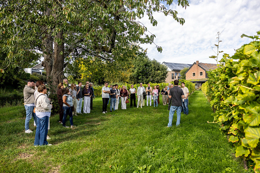 Limburgse Wijntour 26 september