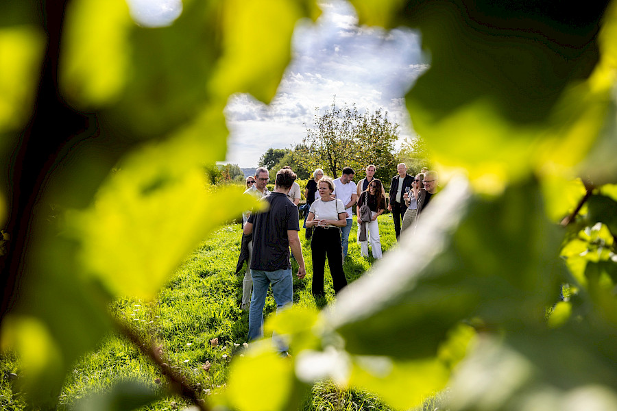 Limburgse Wijntour 26 september