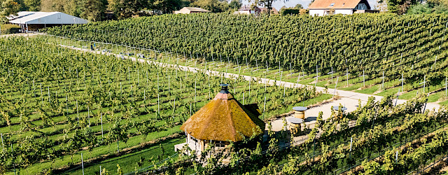 Wijndomein De Warre