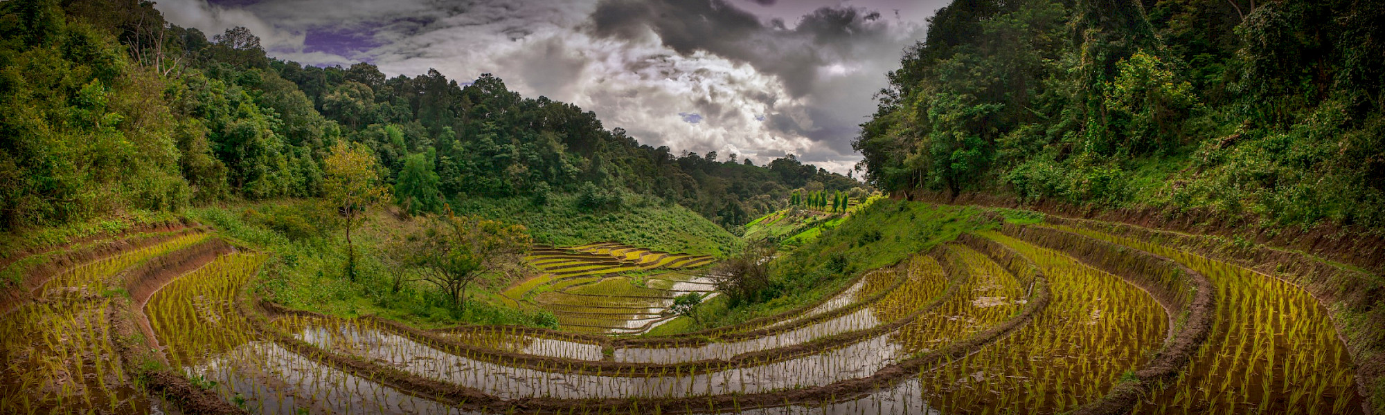 Van Bangkok naar Pai