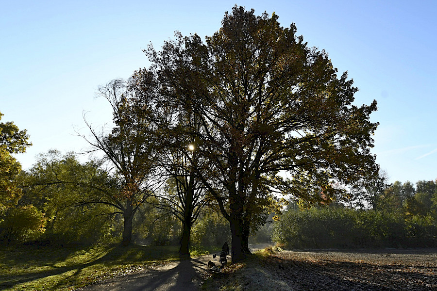 De Anstelvallei bij Kerkrade