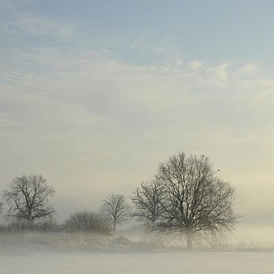 Ode aan Het Limburgs Landschap