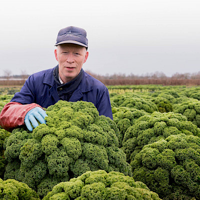 Van bodem naar bord: boerenkool