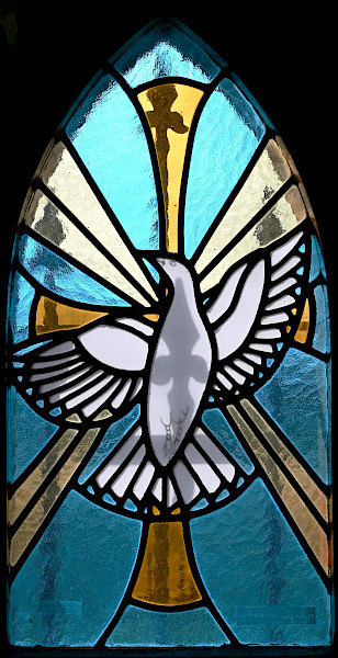 Het Limburgs Landschap: Beesels Broek