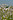 Het Limburgs Landschap: Beesels Broek