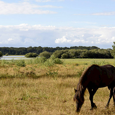 Het Limburgs Landschap: Sarsven en De Banen