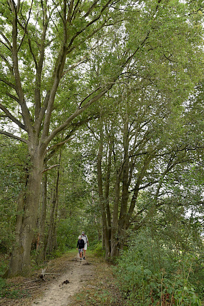 Het Limburgs Landschap: Sarsven en De Banen
