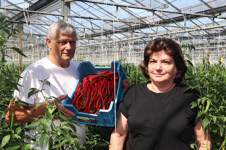 Van bodem naar bord: rode peper