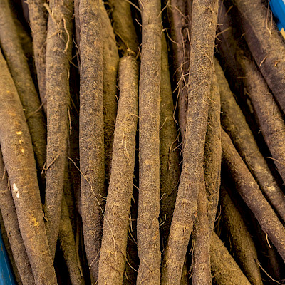 Van bodem naar bord: schorseneren