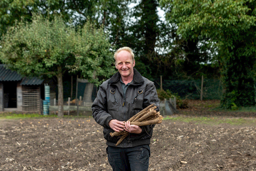 Van bodem naar bord: schorseneren