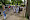 Foto's Adieu d'Asperges Safari 2021
