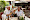 Foto's Adieu d'Asperges Safari staan online!