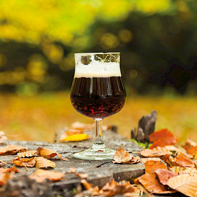 Portrettenreeks: Bockbier