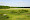 Limburgs Landschap: Ode aan burlende Edelherten