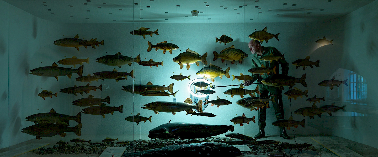 Overzichtstentoonstelling Pii Daenen