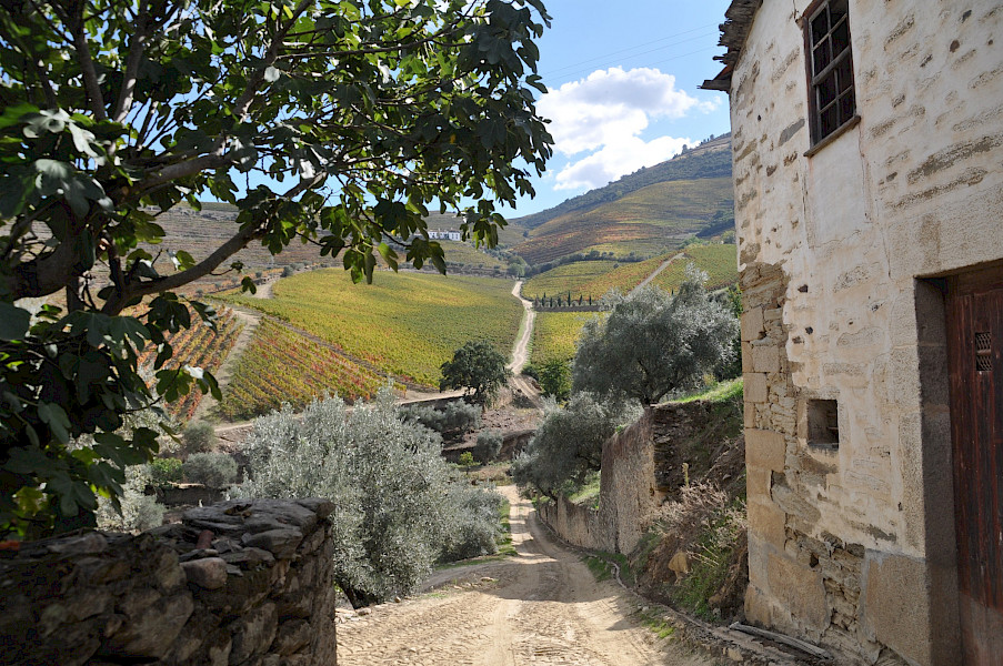 Fluweelzacht, krachtig en complex