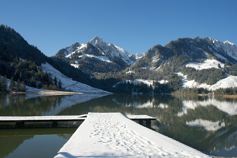 Aspergereis Zwitserland