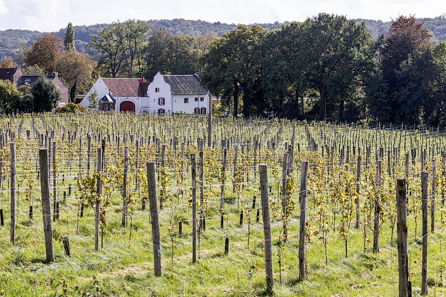 Zesde wijnroute voor wijnregio Zuid-Limburg