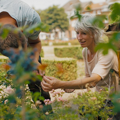 Fiets- en wandelroutes langs kunstprojecten voor vergroening in Venlo en Venray