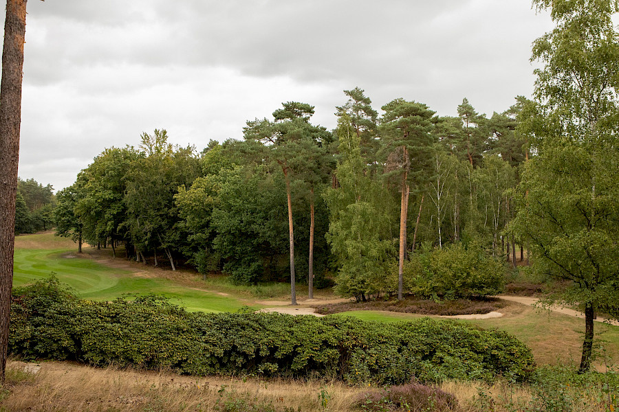 Foto's Onvergetelijk Midzomer Golftoernooi 2022