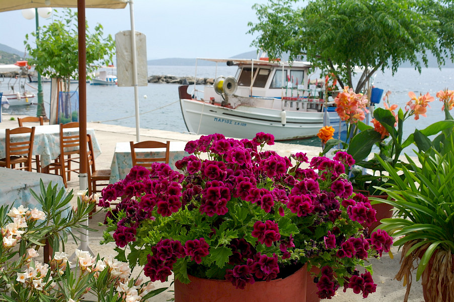 Alonissos: eiland in de zon