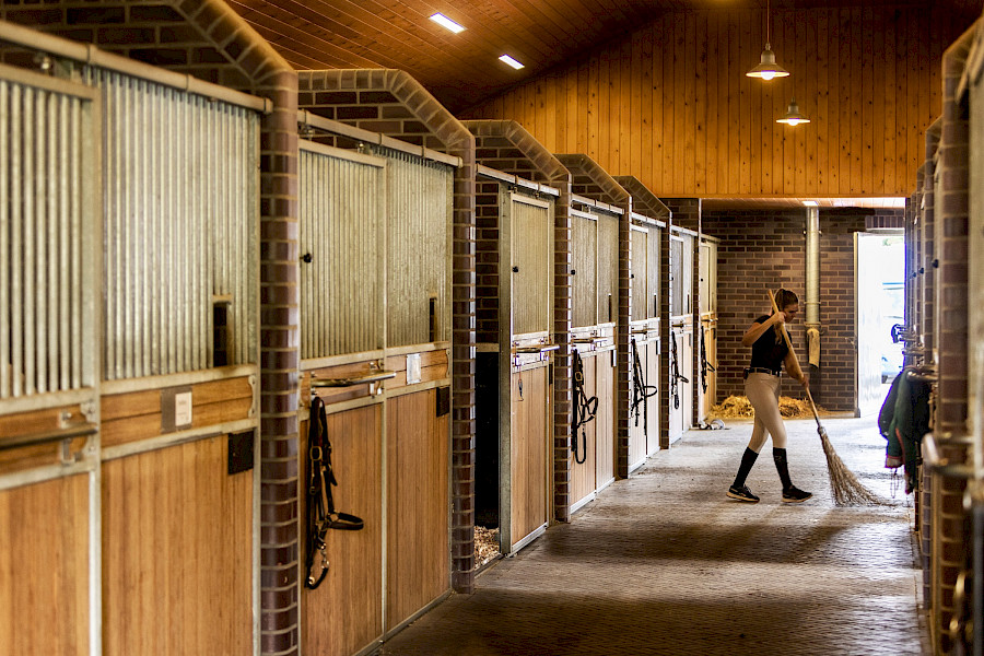 Stal Hendrix, een bijzonder familiebedrijf