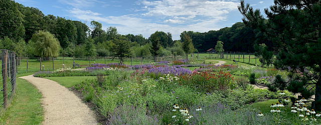 Bekijk het hele artikel