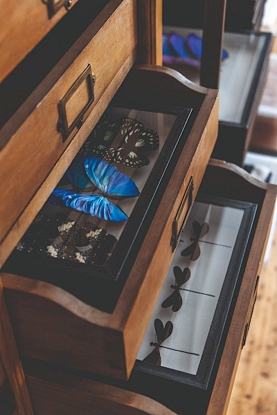 De oktobereditie van Navenant