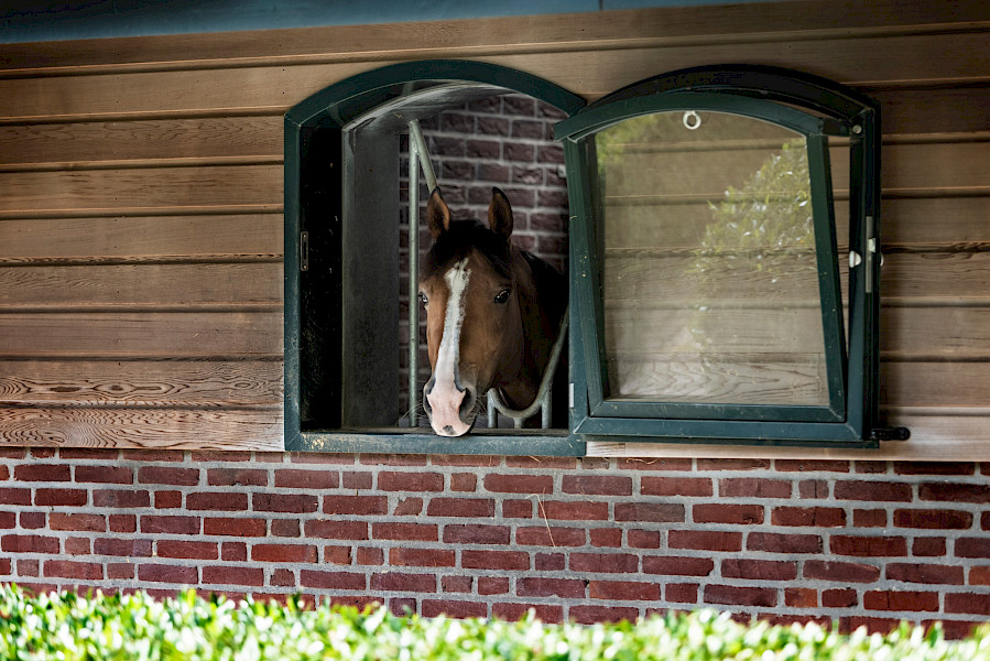 De oktobereditie van Navenant