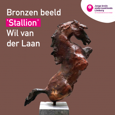 ‘Ik ben meer dan hersenletsel’