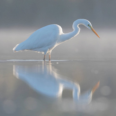 I’m dreaming of…