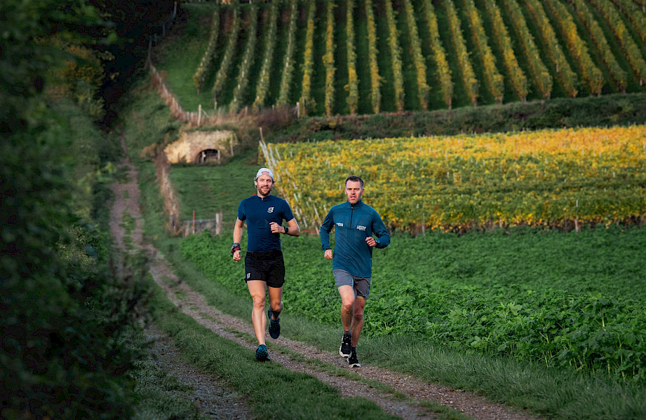 Wijnroutes sportief bekeken