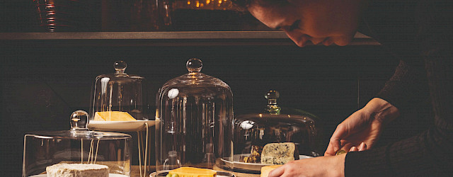 Bekijk hier het artikel