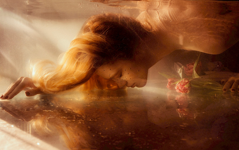 De decembereditie van Navenant