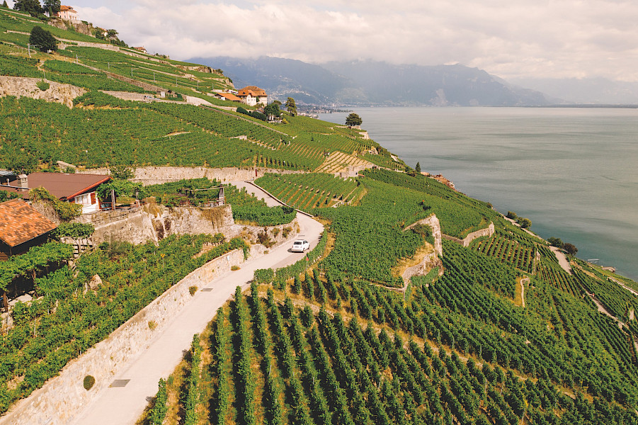 Zwitserleven gevoel met italiaanse twist