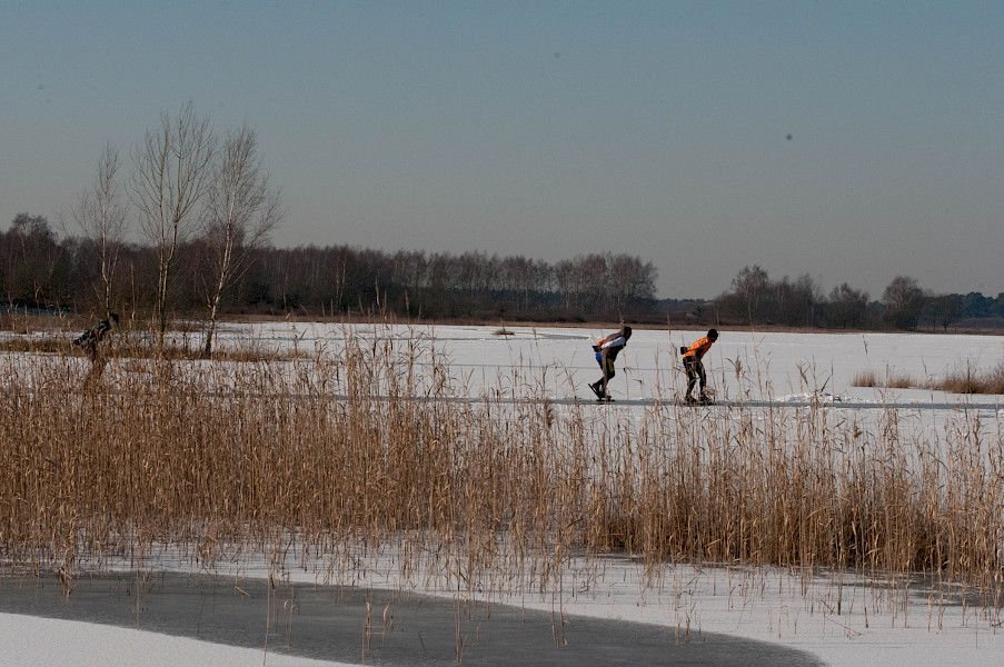 Ode aan Het Landschap: wintersnoei