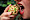 Fascinerende Future Food