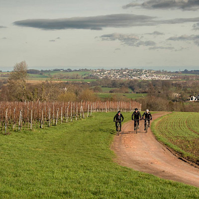 Mountainbike Wine Tour