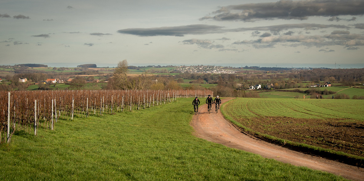 Mountainbike Wine Tour