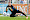 Doelman Mark Flekken terug bij Oranje